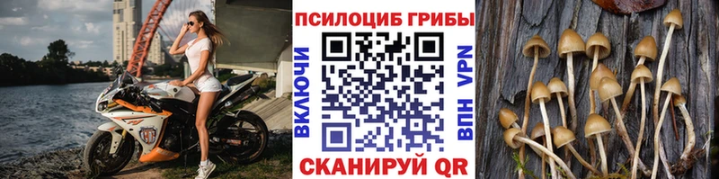 ОМГ ОМГ как зайти  где продают   Миньяр  Псилоцибиновые грибы Magic Shrooms 